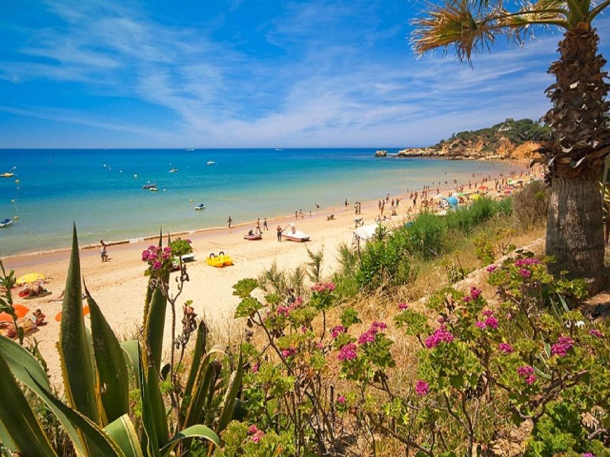 V4, Villa Jardins Branqueira2 Near Beach, Albufeira Esterno foto